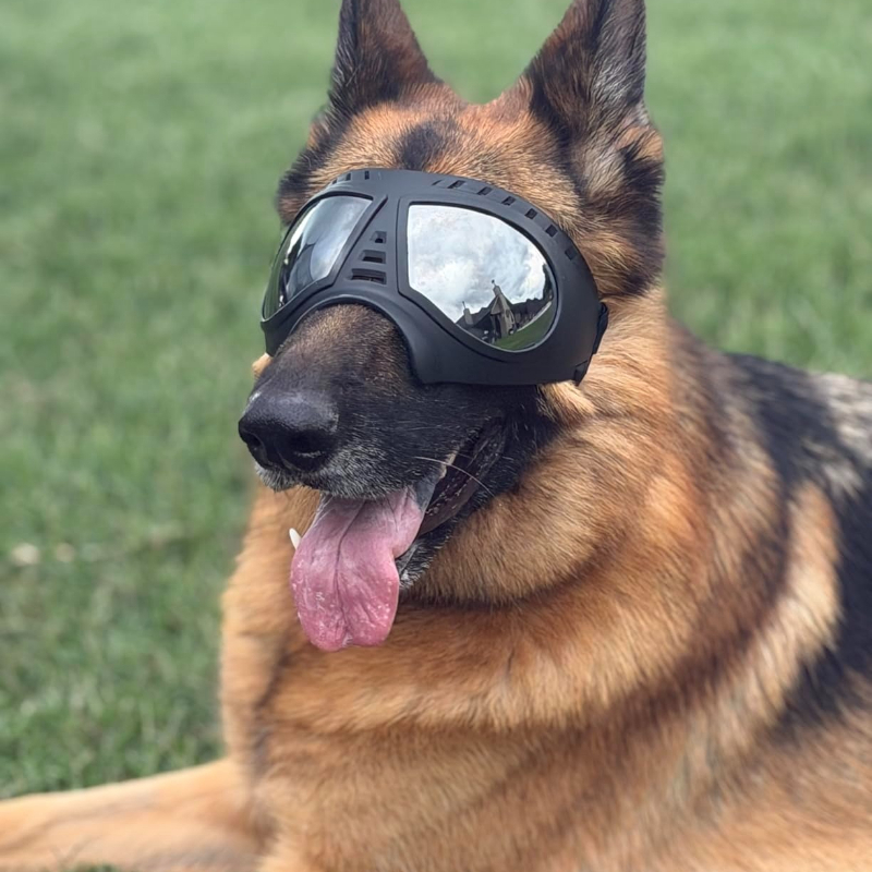 Pet Glasses for medium large-s - Sunglass Retainer Cord recensie en prijs