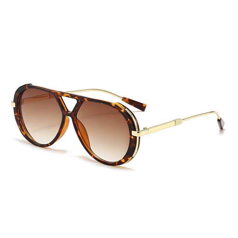 Large Frame Pilot Punk Sunglas - Sunglasses Aviator Polarized recensie en prijs
