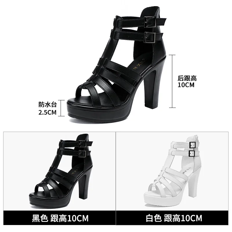 Gladiator Ladies Shoe for Wome - Casual Sandal Leather recensie en prijs